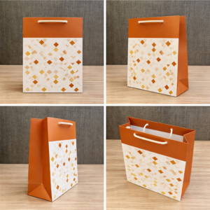 Premium Gifting Paper Bags with Rope Handle – L7 × G3.25 × H9 Inches | Decorative Printed Gift Carry Bags for Return Gifts, Parties, Boutique Packaging | Pack of 10