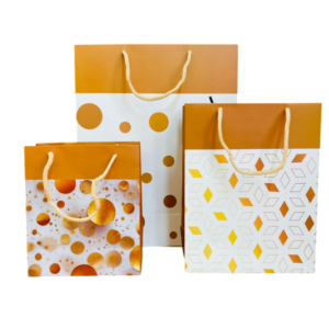 Eternera Premium Gifting Paper Bags 3 Combo Size – Nano, Small & Medium Sizes | Designer Pattern Gift Bags with Rope Handles | Reusable Party, Birthday & Wedding Gift Packing Bags (Pack of 3)